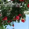 John Mani - @john.mani - TikTok