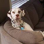 John Mansueto - @big_suets3 - Instagram