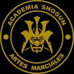 John Manuel Patiño T - @academiashogundojocali - Instagram