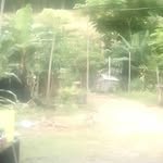 john mao - @johnmao716 - Instagram