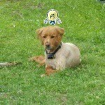 John marcinko - @jam_55_ - Instagram