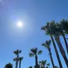 John Marino - @johnjohnmarino32 - TikTok