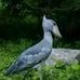 John Marial Yai Gur - Facebook