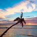 John Marion - Facebook