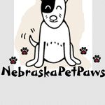 John Marion DeCrocker III - @nebraskapetpaws - Instagram