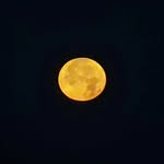 John Markovich - @johnmarkovich811 - Instagram