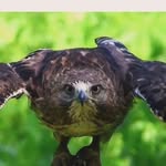 John Markowitz - @markowitzjohn - Instagram