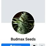 john markwell - @markwell.john - Instagram