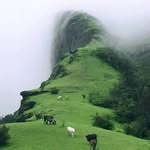 John Maro - @marojohn123 - Instagram