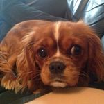 John Marron - @johnmarron55 - Instagram