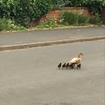 John Marrow - @marrow1593 - Instagram