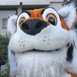 John Marshall - @john_marshall_tigers - Instagram