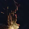 John Martinek308 - @johnmartinek308 - TikTok