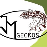 John Martínek - @jm_geckos_ - Instagram