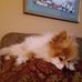 John Martinek - Facebook