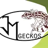 John Martínek - @jm_geckos - TikTok