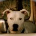 John Martire - Facebook