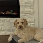 John Marzano - @johnp.marzano - Instagram