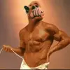 John Masías - @zappajohn - TikTok