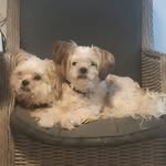 John Maton - @maton268 - Instagram