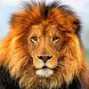 John Mattera - @johnmattera_5421 - TikTok