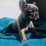 John Mattia - @mattia17239 - Instagram
