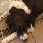John Mauldin - @mauldin6135 - Instagram