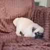 john maxi - @john.maxi - TikTok