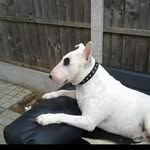 John Maynard - @johnan555 - Instagram