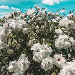 John Mcbee - @mcbee6907 - Instagram
