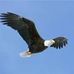 John Mcbratney - Facebook