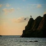 John Mc Bride - @john.mcbride.54 - Instagram