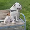 John Mcbride - @john.mcbride3 - TikTok