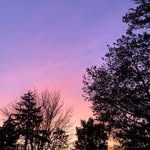 John McCabe | FOTOGRAFIA - @johnmccabe_fotografia - Instagram