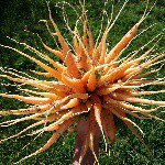 John McCafferty - @pleasant_river_produce - Instagram