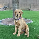 John Mccalla - @desertbear1954 - Instagram