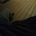 Jonathan Mccanless - Facebook
