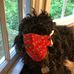 John Mccarren - Facebook