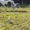 John McCarthy - @john.mccarthy5271 - TikTok