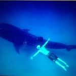John McCarthy - @oceanchild001 - Instagram