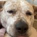John McCaulley - Facebook