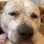 John McCaulley - @johnsthriftyfinds - Instagram