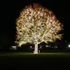 johnmcclatchy - @sarge4211 - TikTok