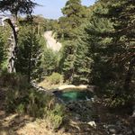 John McCool - @john_mccool1 - Instagram