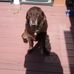 John McCosker - Facebook