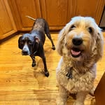 John McCoskery - @johnmccoskery - Instagram
