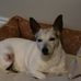 John Mccotter - Facebook