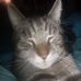 John Mccratic - Facebook
