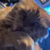 johnmc1__ - @johnmc1__ - TikTok