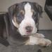 John Mccravey - Facebook